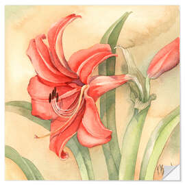 Autocolante decorativo Amaryllis