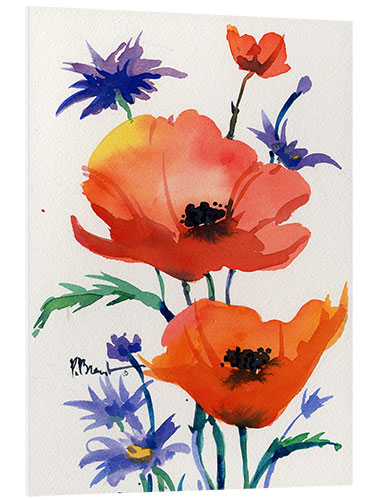 Foam board print Orange Poppies