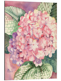 Aluminium print Pink Hydrangea