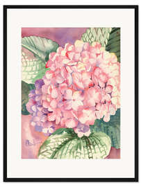 Gerahmter Kunstdruck Rosa Hortensie