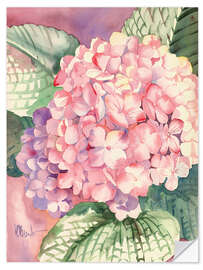 Muursticker Pink Hydrangea