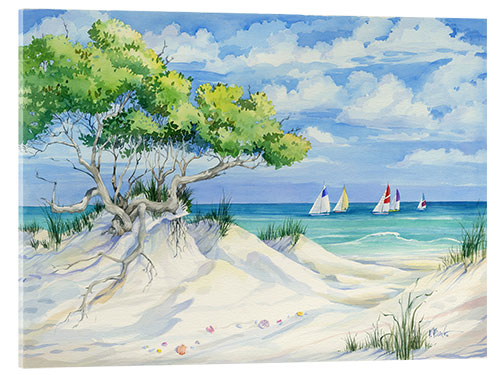 Acrylic print Seagrove Beach