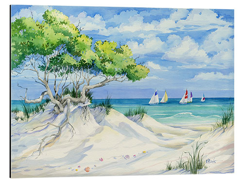 Tableau en aluminium Seagrove Beach