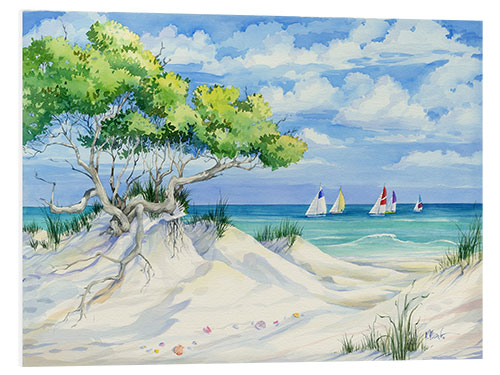 Foam board print Seagrove Beach