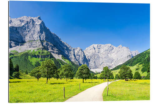 Gallery print The Great Ahornboden in the Engtal in Karwendel