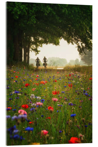 Acrylic print Biking on a Spring Morning