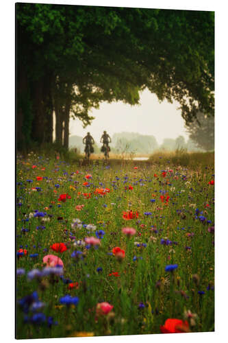 Aluminium print Biking on a Spring Morning