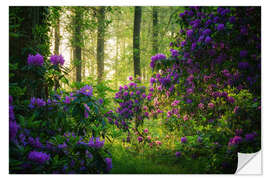 Wandsticker Rhododendren im Morgenlicht