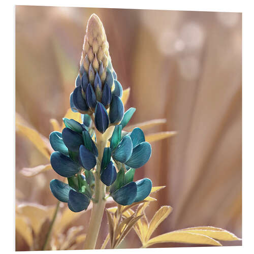 PVC print Lupine