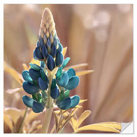 Wall sticker Lupine