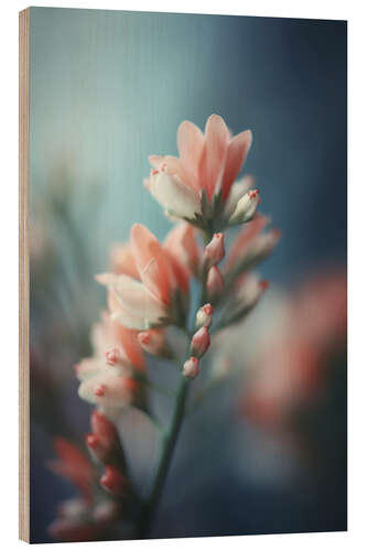 Wood print Pastel Pink Beauty