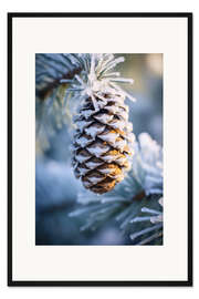 Gerahmter Kunstdruck Winter Impressions