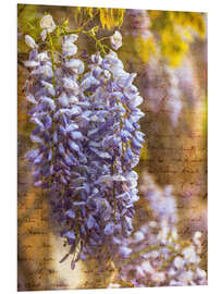 Quadro em PVC Wisteria Blooms