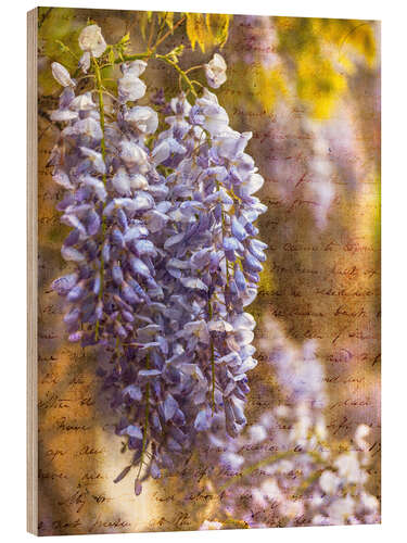 Cuadro de madera Wisteria Blooms