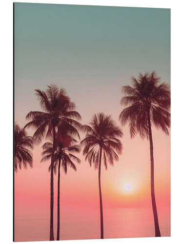 Alubild Palm Sunset