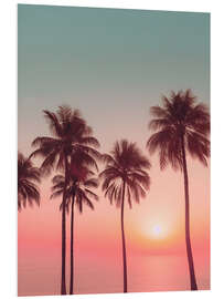 PVC print Palm Sunset