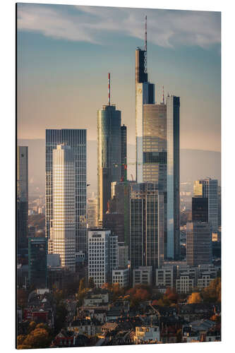 Quadro em alumínio Skyscrapers of the Frankfurt Skyline