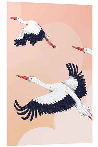 Foam board print Storks in the Air