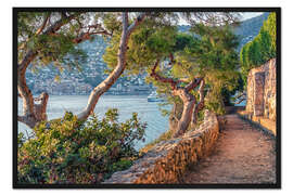 Gerahmter Kunstdruck Alte Kiefern an der Côte d'Azur
