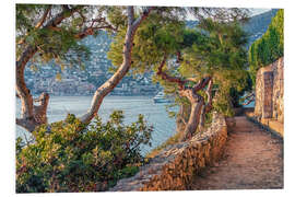 Tableau en PVC Maritime Pines on French Riviera