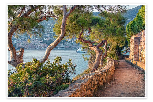 Poster See-Kiefern in Côte d'Azur