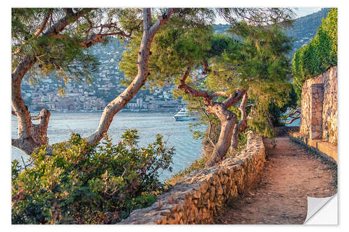 Wall sticker Maritime Pines on French Riviera