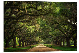 Acrylglasbild Plantation Entrance, South Carolina