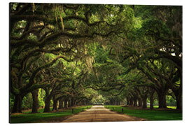 Cuadro de aluminio Plantation Entrance, South Carolina