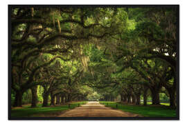 Gerahmter Kunstdruck Plantation Entrance, South Carolina