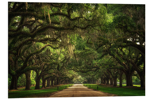 Cuadro de PVC Plantation Entrance, South Carolina