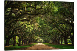 Galleriprint Plantation Entrance, South Carolina