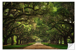 Selvklebende plakat Plantation Entrance, South Carolina