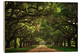 Stampa su legno Plantation Entrance, South Carolina