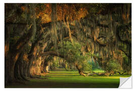 Sticker mural Oak Trees at Sunset