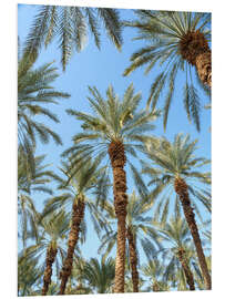 PVC print Palm Trees Under the Blue Sky