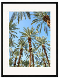 Gerahmter Kunstdruck Palmen unter dem Blauen Himmel