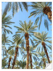 Selvklæbende plakat Palm Trees Under the Blue Sky