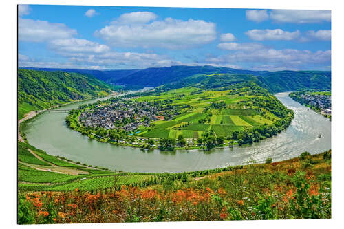 Obraz na aluminium Moselle River Loop Near Kröv, Germany