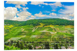 Foam board print Vineyards on the Moselle