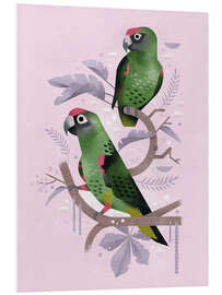 Foam board print Red Fronted Parrots