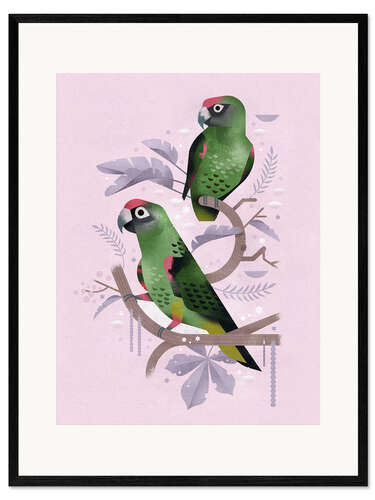 Kehystetty taidepainatus Red Fronted Parrots