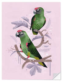 Selvklebende plakat Red Fronted Parrots