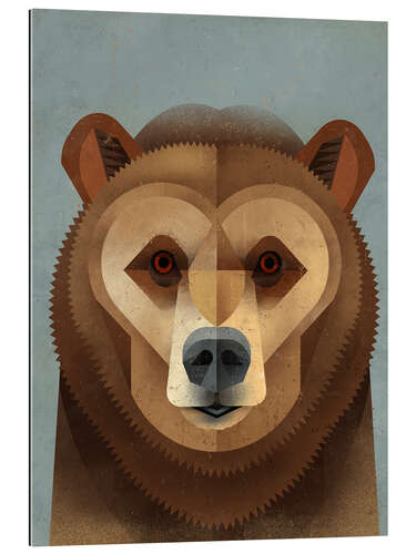 Quadro em plexi-alumínio Brown Bear