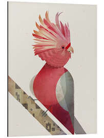 Magnettafel Rosakakadu