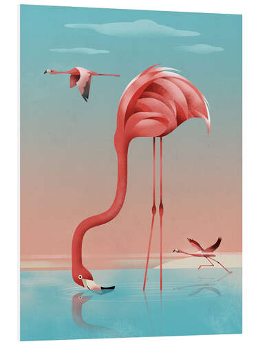 Foam board print Greater Flamingo