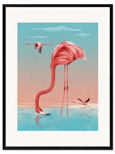 Innrammet kunsttrykk Greater Flamingo