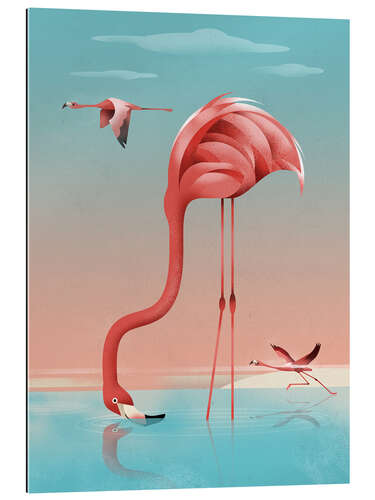 Tableau en plexi-alu Greater Flamingo