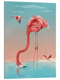 Gallery print Greater Flamingo