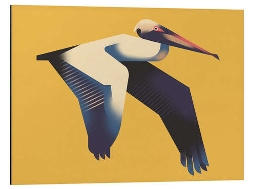 Aluminium print Pelican