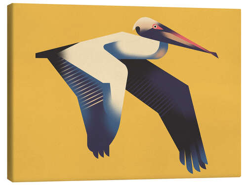 Canvas print Pelican